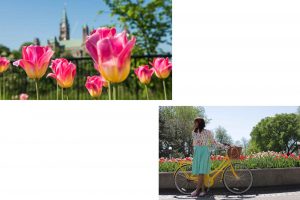 Collage de photos du Festival des tulipes
